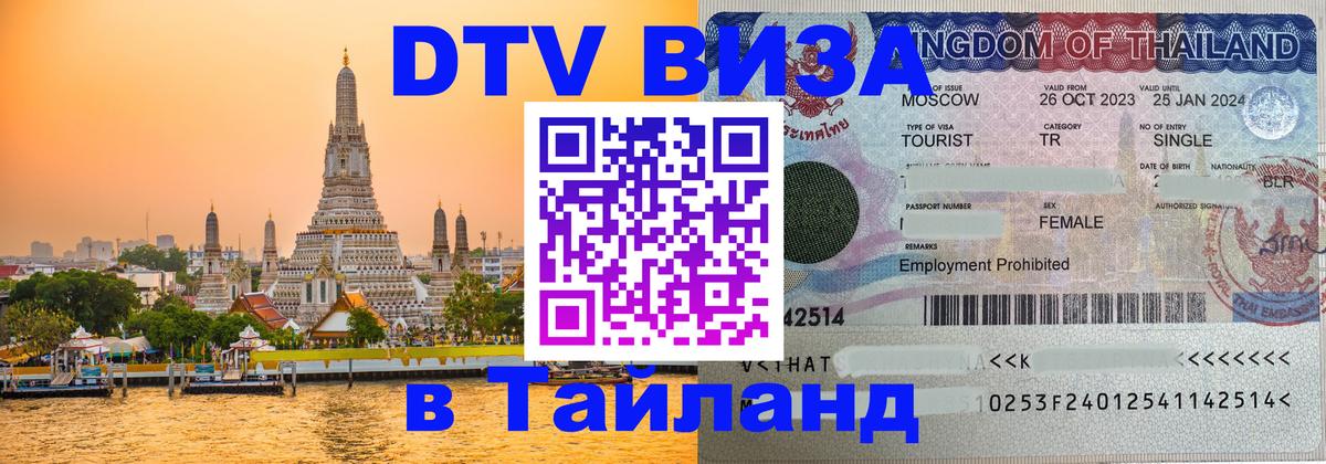 Сколько стоит DTV виза — актуальные цены, оформление даже без документов - 07.01.2026 